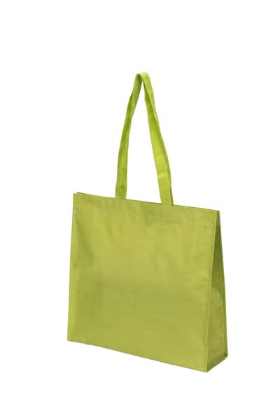  SH-024 SHOPPING BAG